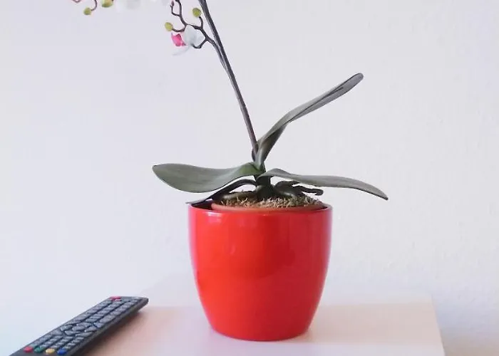 아파트 Bismarck Bach 뒤셀도르프