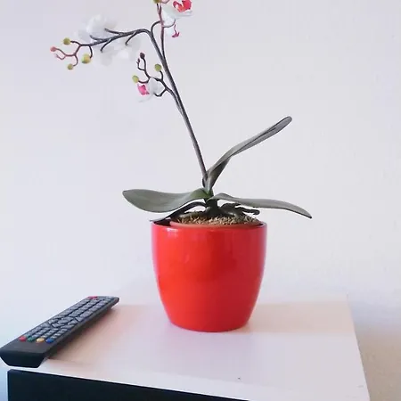 Apartment Avi Bismarckhouse Dusseldorf